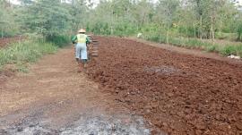 MENUJU MUSIM PENGHUJAN, BEBERAPA PETANI MULAI OLAH LAHAN